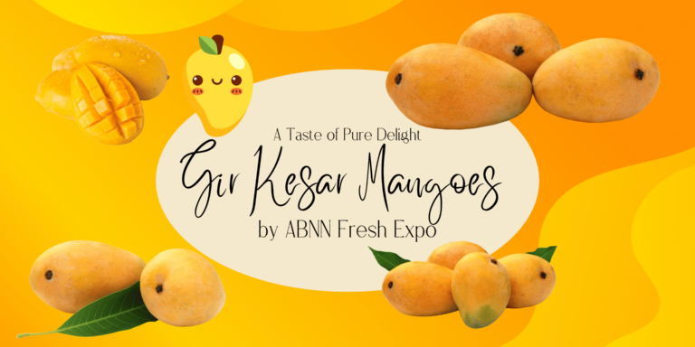 ABNN-Mango