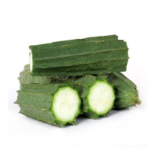 Ridge Gourd ABNN Fresh Expo ridge-gourd-abnn-fresh-expo