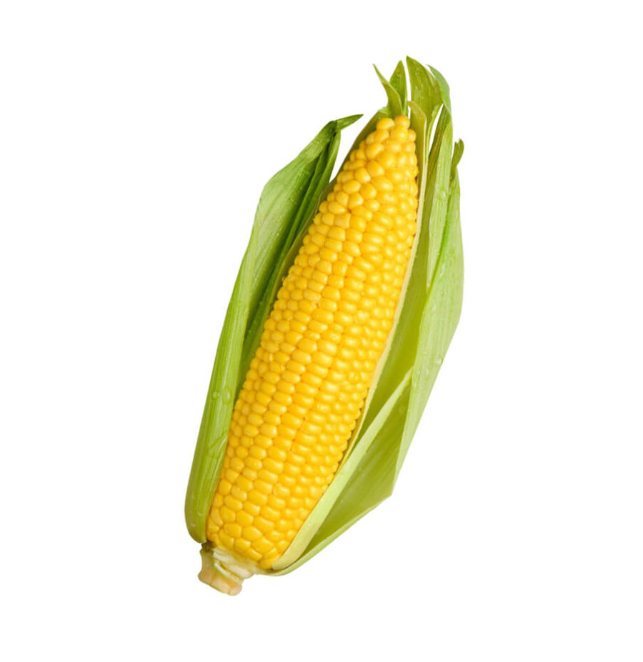 Sweet Corn - Image 2